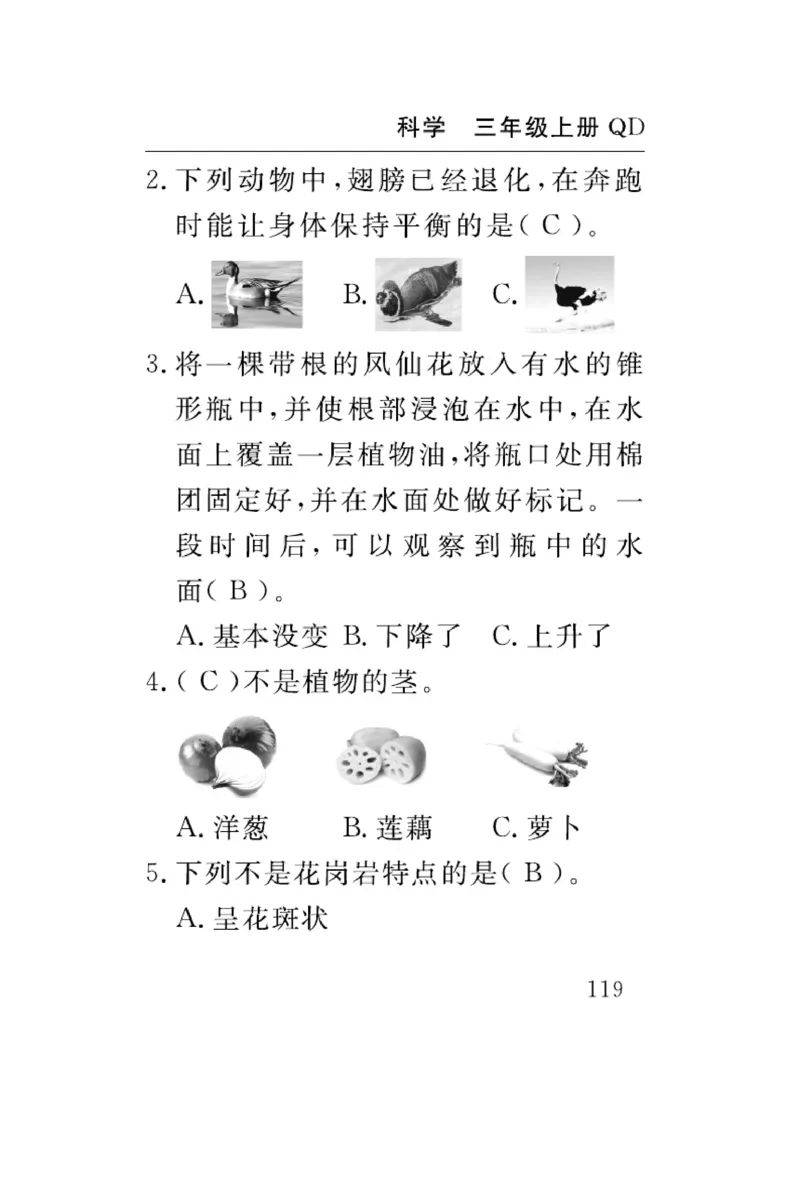 三（上）科学-青岛版速记速查_三年级上下册资料_小学三年级学习资料-25年更新版_3-09、小学三年级科学上册_青岛版