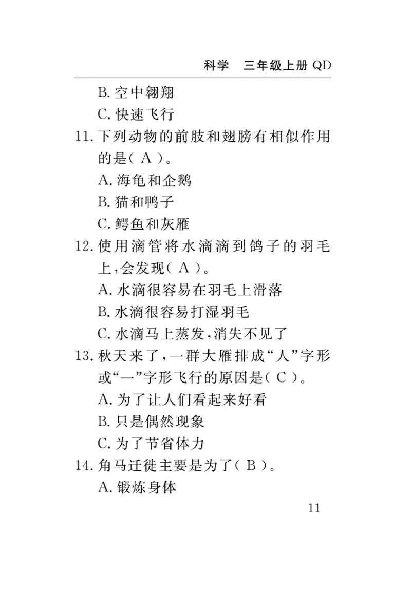 三（上）科学-青岛版速记速查_三年级上下册资料_小学三年级学习资料-25年更新版_3-09、小学三年级科学上册_青岛版