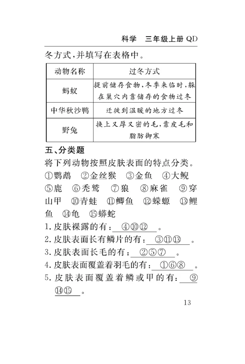 三（上）科学-青岛版速记速查_三年级上下册资料_小学三年级学习资料-25年更新版_3-09、小学三年级科学上册_青岛版