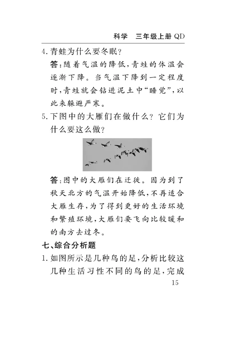 三（上）科学-青岛版速记速查_三年级上下册资料_小学三年级学习资料-25年更新版_3-09、小学三年级科学上册_青岛版