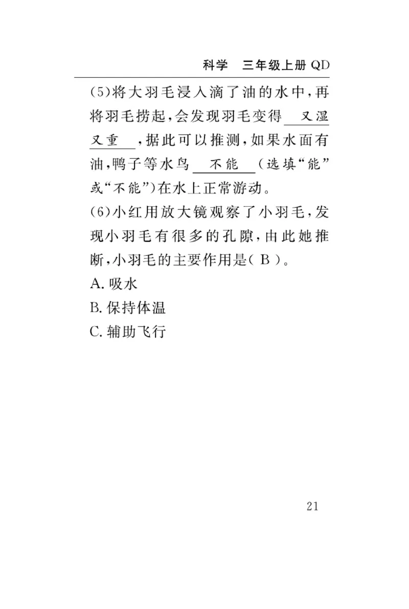 三（上）科学-青岛版速记速查_三年级上下册资料_小学三年级学习资料-25年更新版_3-09、小学三年级科学上册_青岛版