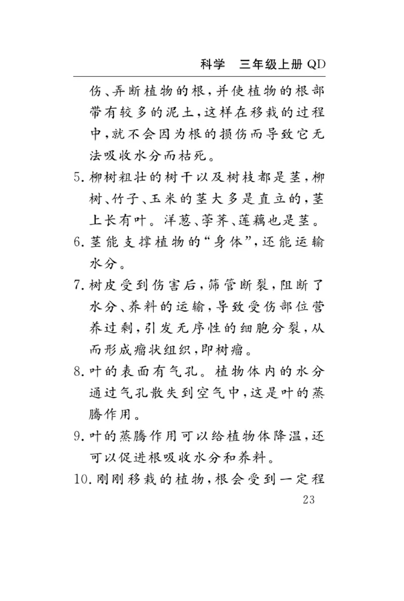 三（上）科学-青岛版速记速查_三年级上下册资料_小学三年级学习资料-25年更新版_3-09、小学三年级科学上册_青岛版