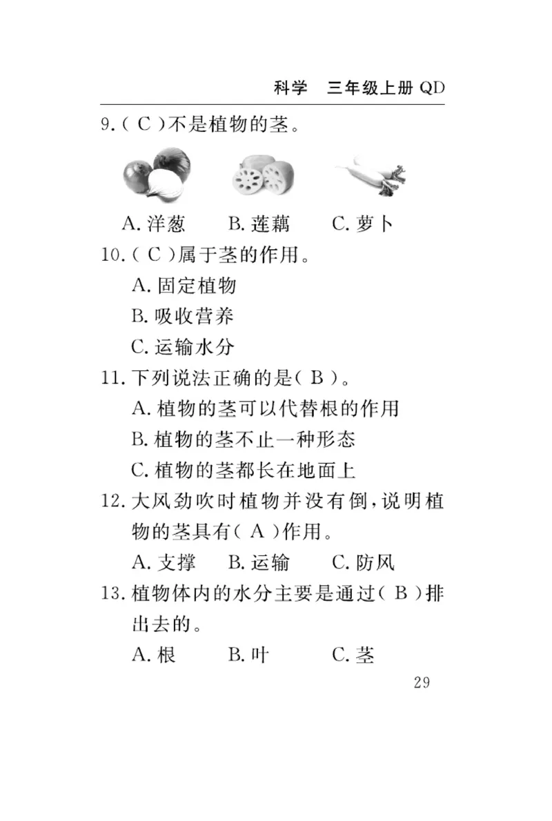 三（上）科学-青岛版速记速查_三年级上下册资料_小学三年级学习资料-25年更新版_3-09、小学三年级科学上册_青岛版