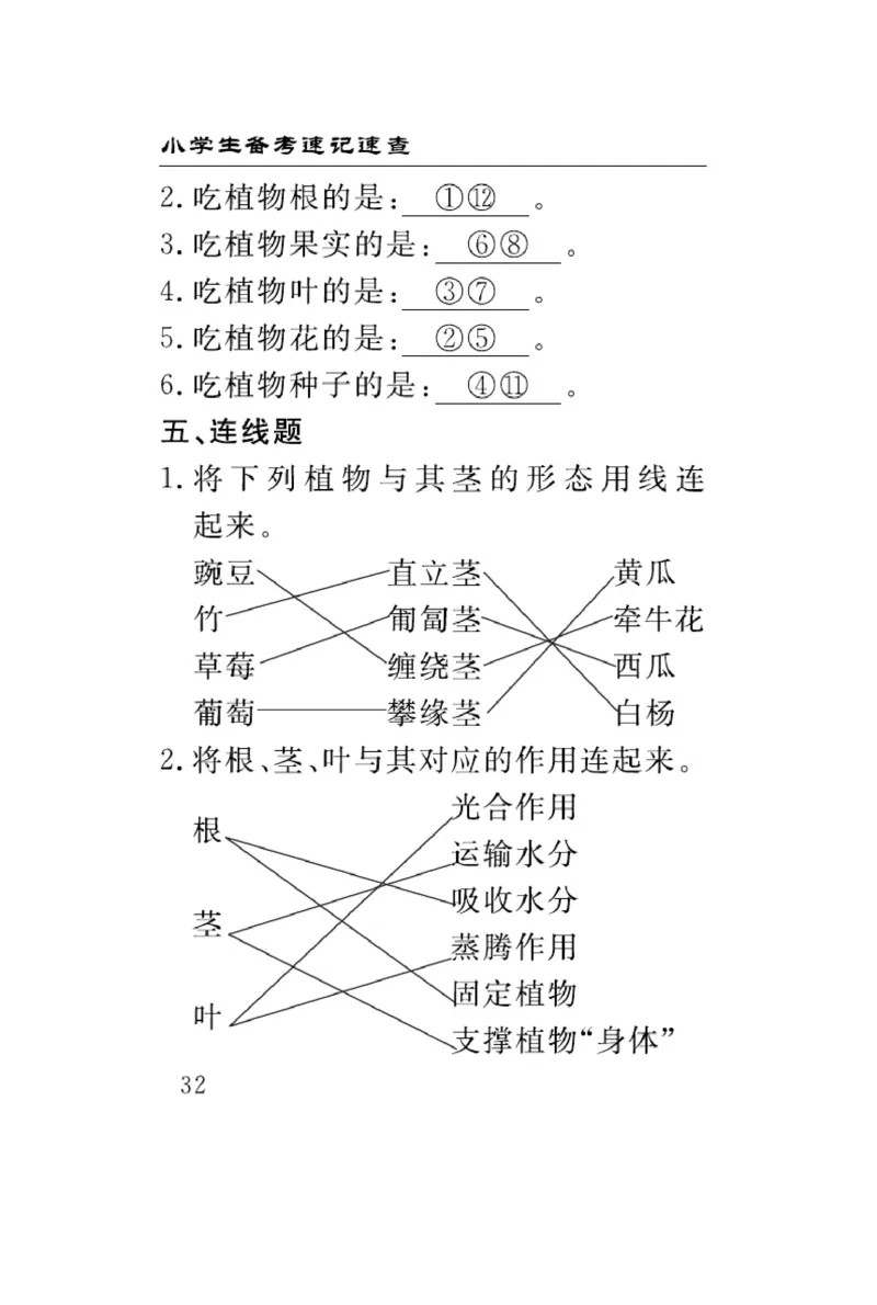三（上）科学-青岛版速记速查_三年级上下册资料_小学三年级学习资料-25年更新版_3-09、小学三年级科学上册_青岛版