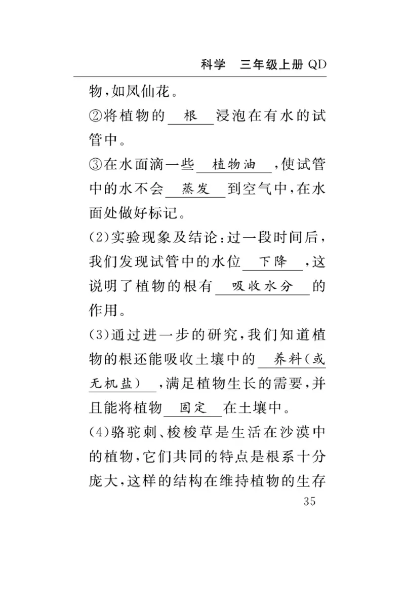 三（上）科学-青岛版速记速查_三年级上下册资料_小学三年级学习资料-25年更新版_3-09、小学三年级科学上册_青岛版
