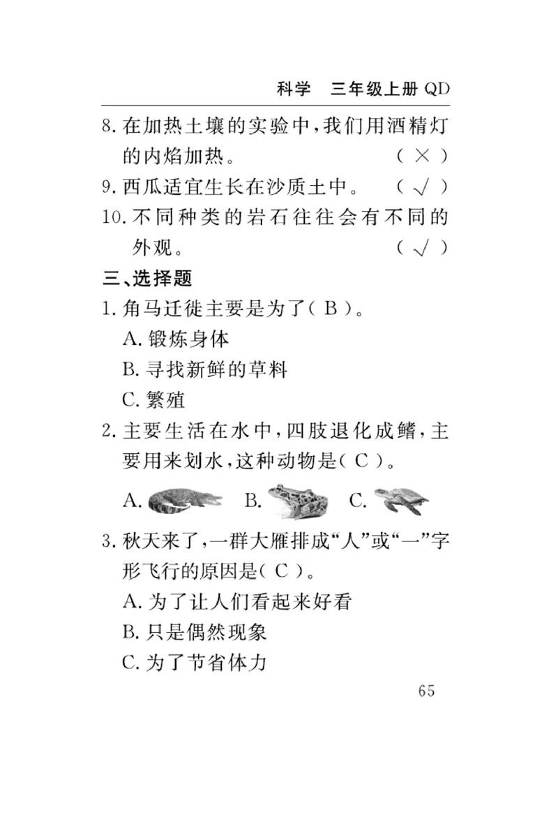 三（上）科学-青岛版速记速查_三年级上下册资料_小学三年级学习资料-25年更新版_3-09、小学三年级科学上册_青岛版