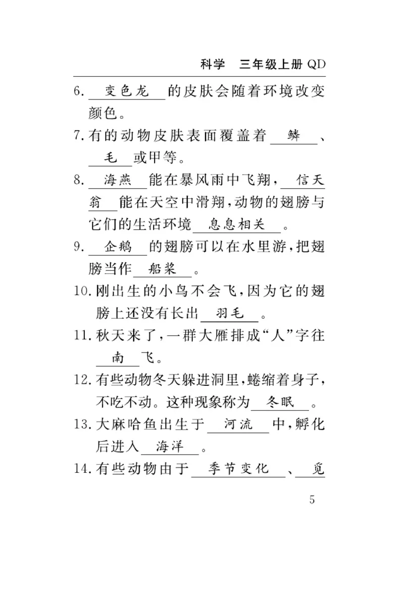 三（上）科学-青岛版速记速查_三年级上下册资料_小学三年级学习资料-25年更新版_3-09、小学三年级科学上册_青岛版
