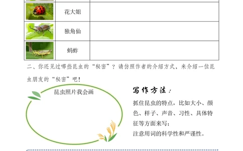 三（下）语文每课作业单-小练笔(1)(1)_三年级上下册资料_三年级下册小红书同款资料_三下语文
