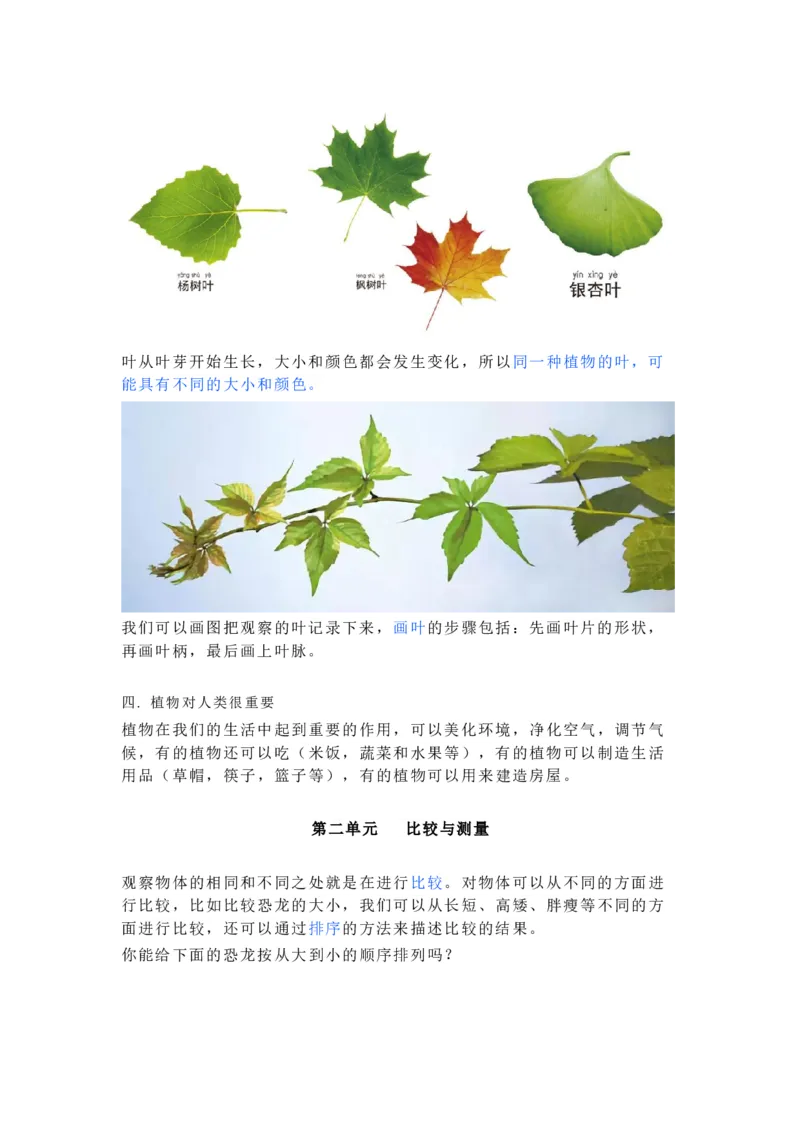 一年级上册复习资料_一年级上下册资料_小学一年级学习资料-25年更新版_1-09、小学一年级科学上册_教科版_期末测试卷