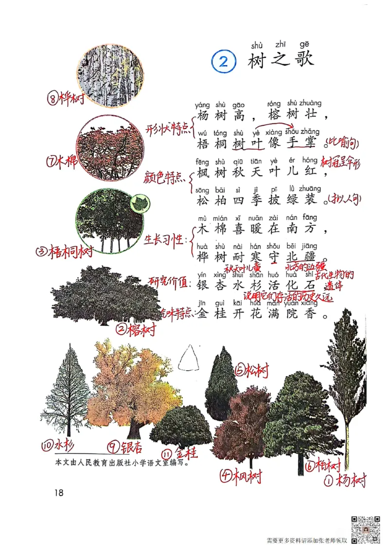 二上语文笔记(1)(3)(1)_二年级上下册资料_二年级上册小红书同款资料_二年级