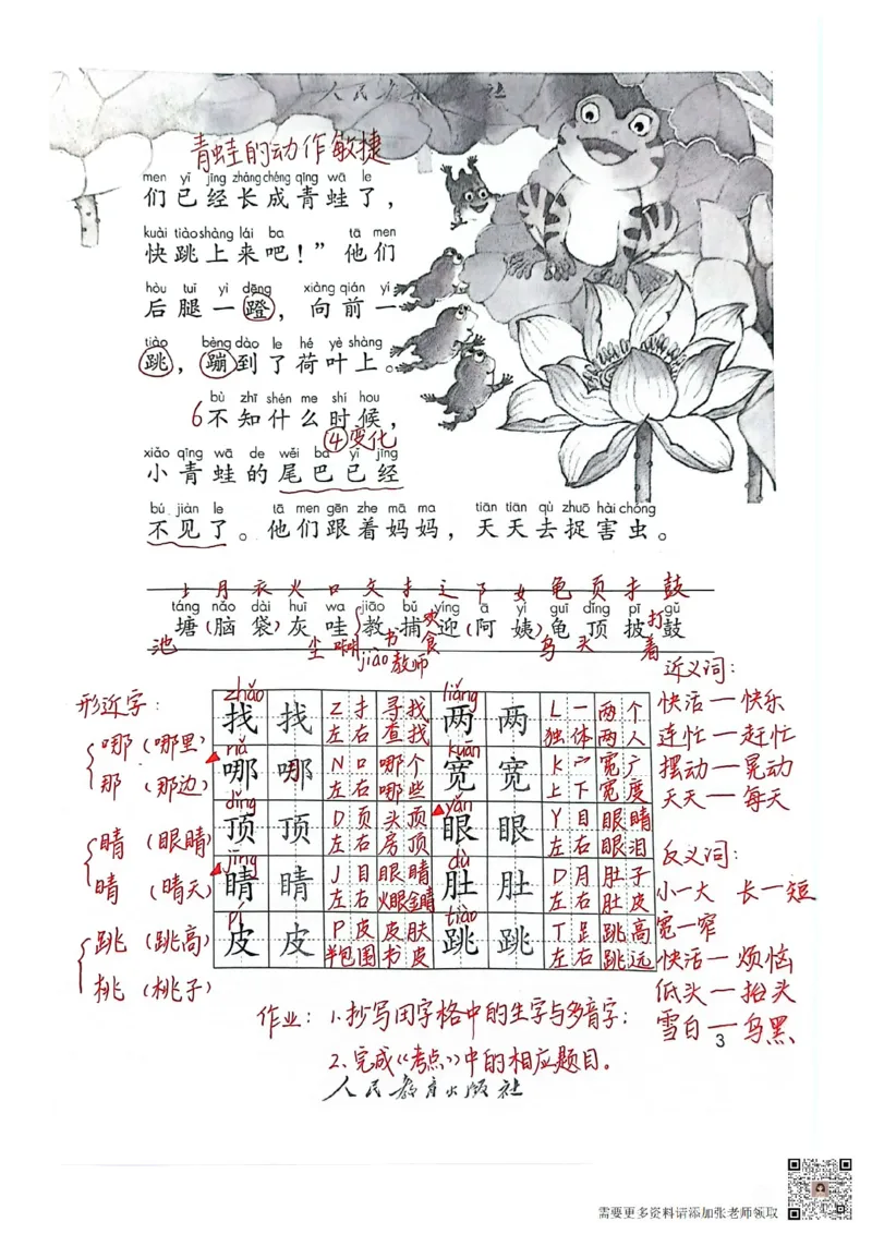 二上语文笔记(1)(3)(1)_二年级上下册资料_二年级上册小红书同款资料_二年级