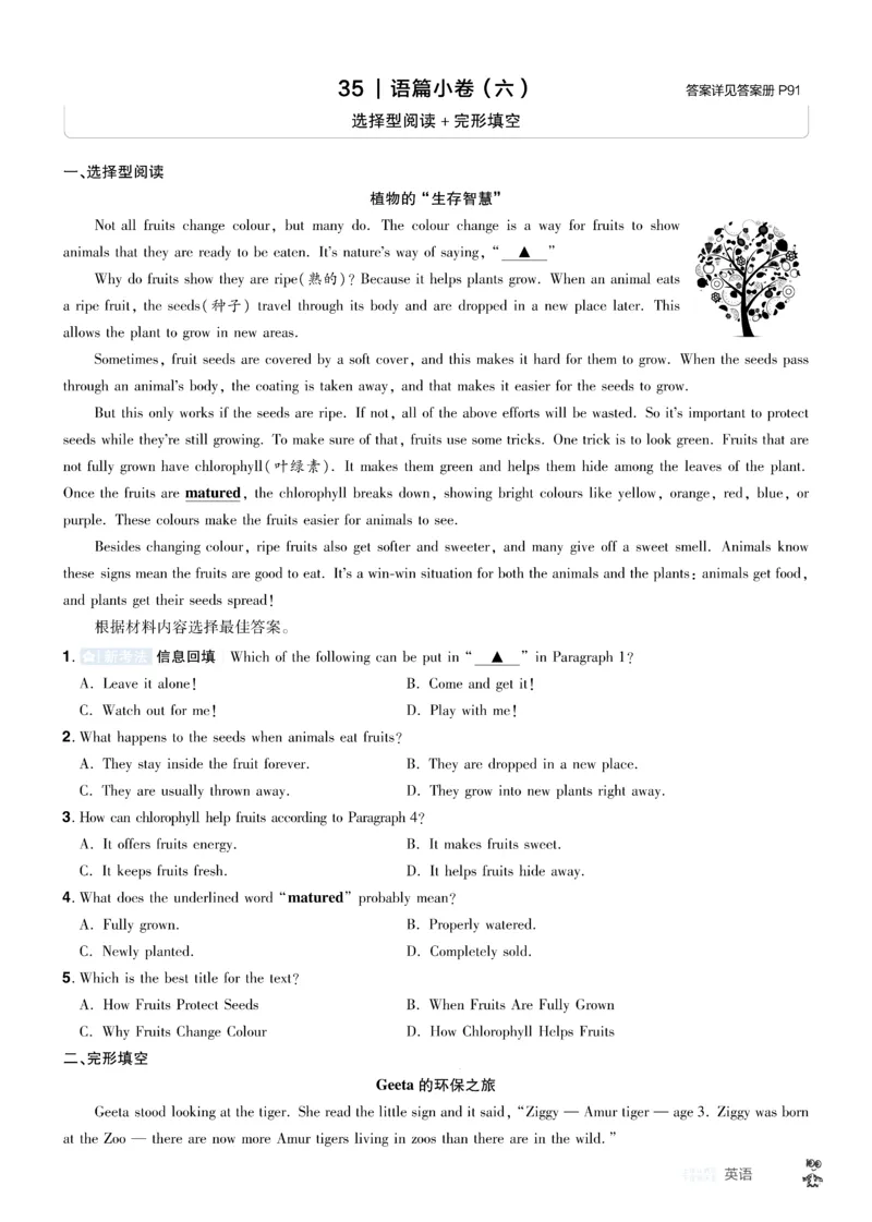 2026《中考英语45套》河南题型小卷f_45套中招_2026《中考英语45套》河南