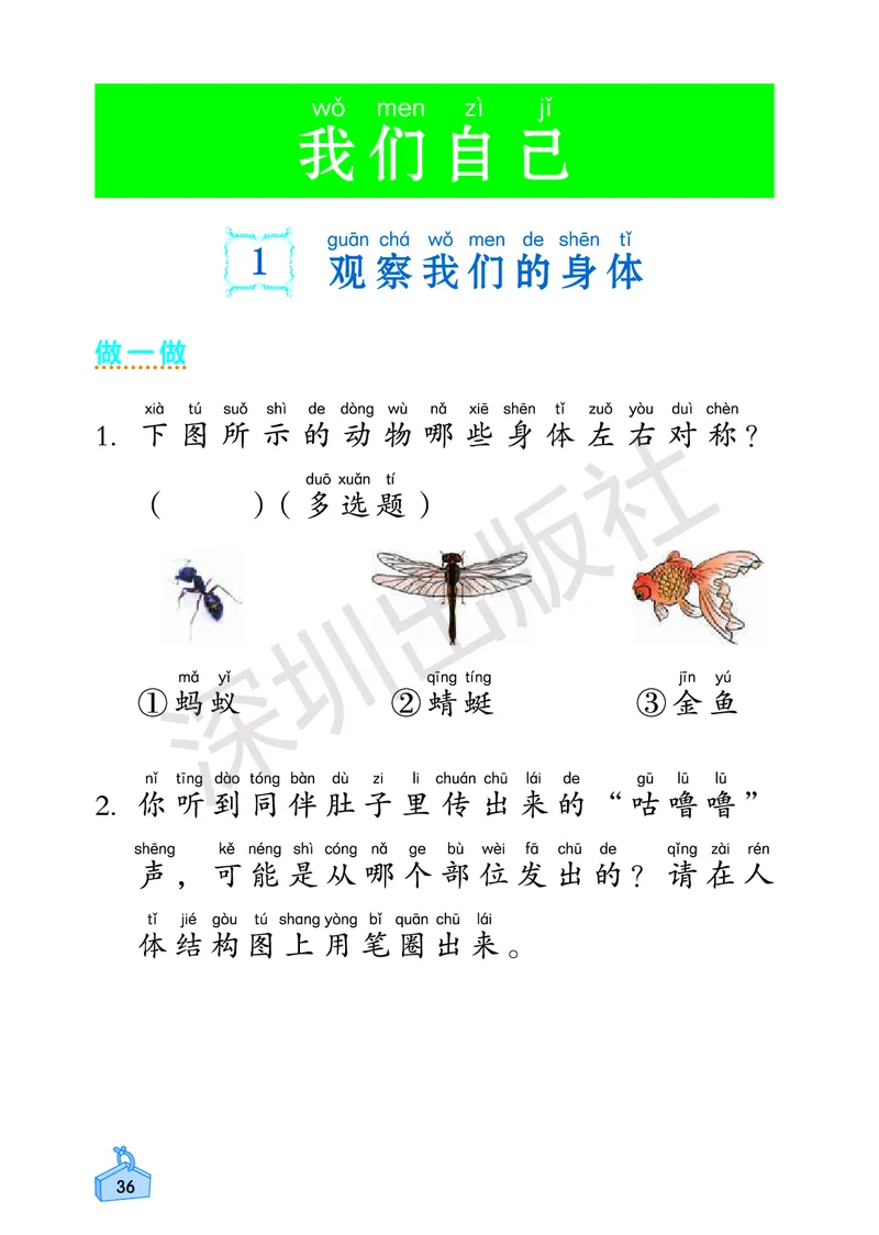 《知识与能力训练&middot;科学》23春科学2年级下册（教科版）_二年级上下册资料_小学二年级学习资料-25年更新版_2-10、小学二年级科学下册_教科版_电子册类