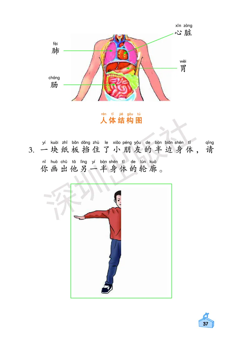 《知识与能力训练&middot;科学》23春科学2年级下册（教科版）_二年级上下册资料_小学二年级学习资料-25年更新版_2-10、小学二年级科学下册_教科版_电子册类