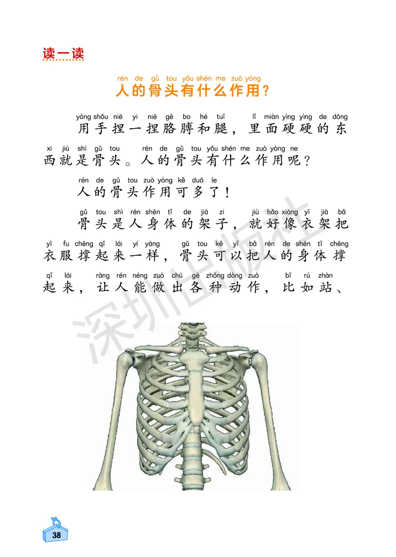 《知识与能力训练&middot;科学》23春科学2年级下册（教科版）_二年级上下册资料_小学二年级学习资料-25年更新版_2-10、小学二年级科学下册_教科版_电子册类