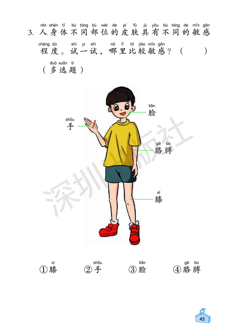《知识与能力训练&middot;科学》23春科学2年级下册（教科版）_二年级上下册资料_小学二年级学习资料-25年更新版_2-10、小学二年级科学下册_教科版_电子册类