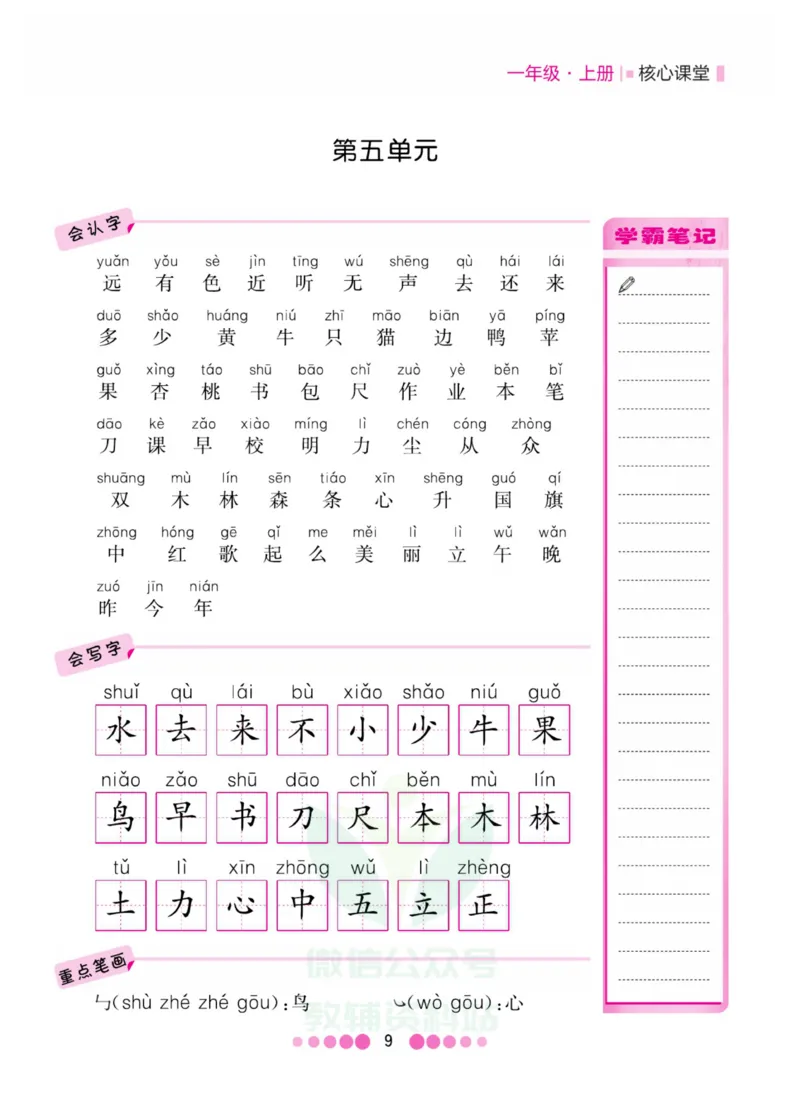 一年级上册语文部编版考点过关_一年级上下册资料_小学一年级学习资料-25年更新版_1-01、小学一年级语文上册_01、知识汇总