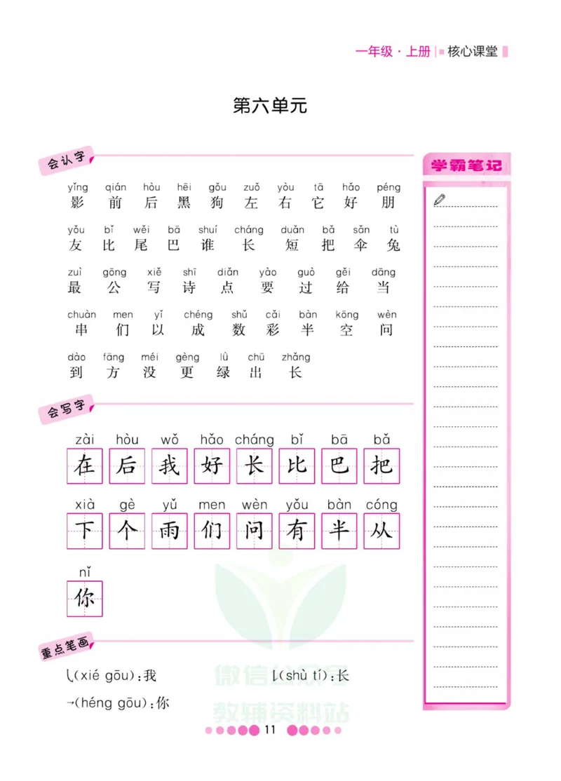 一年级上册语文部编版考点过关_一年级上下册资料_小学一年级学习资料-25年更新版_1-01、小学一年级语文上册_01、知识汇总
