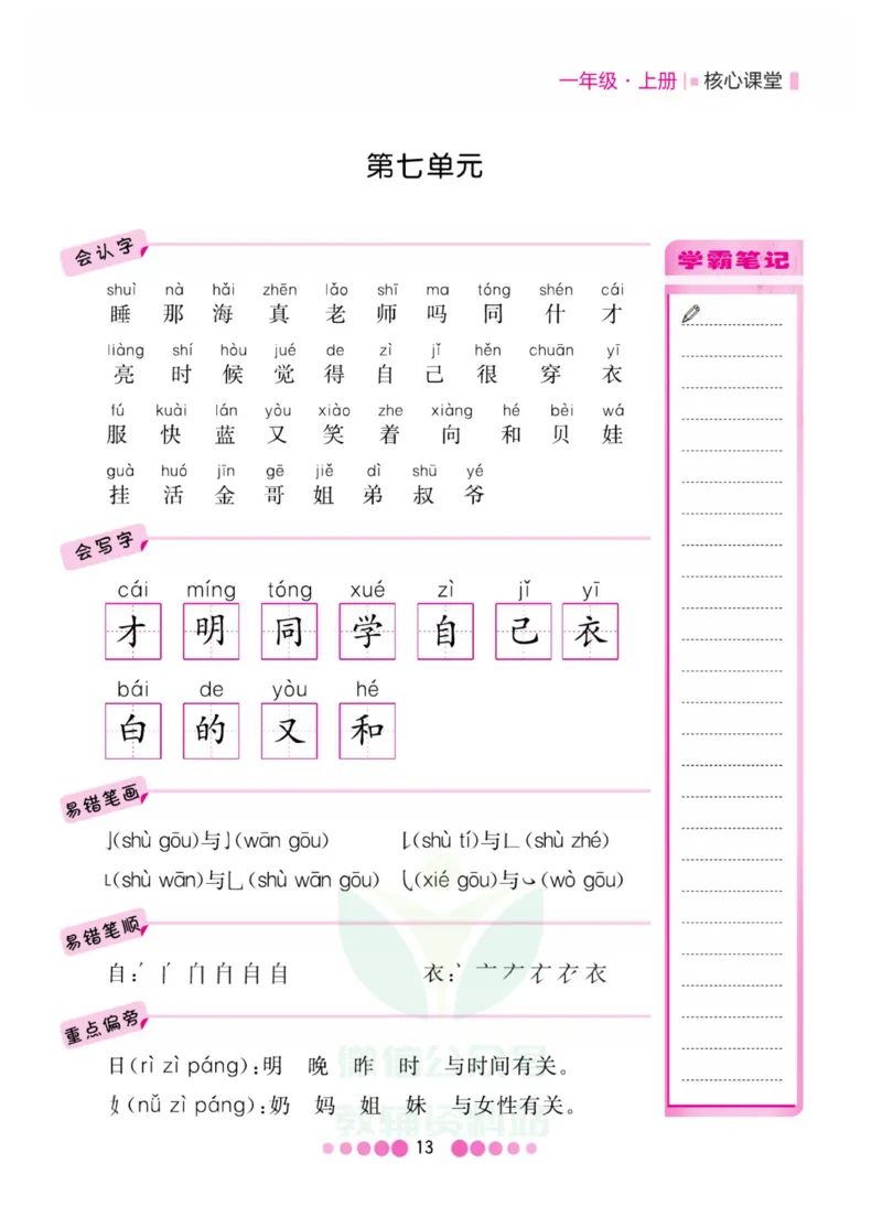 一年级上册语文部编版考点过关_一年级上下册资料_小学一年级学习资料-25年更新版_1-01、小学一年级语文上册_01、知识汇总