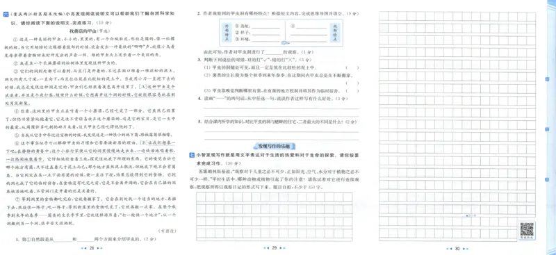 25秋《亮点给力新情境素养卷》语文4上_25秋小学语数英习题试卷_语文_25秋《亮点给力新情境素养卷》语文1-6上(1)