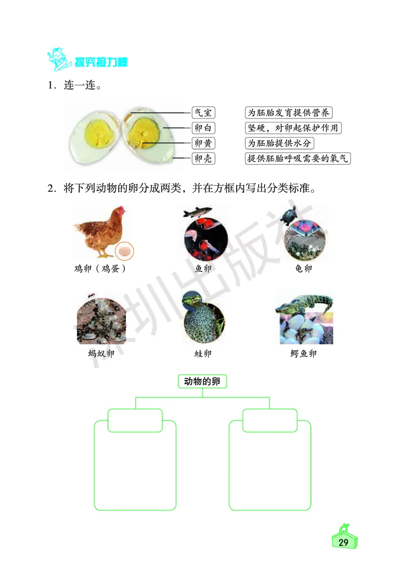 《知识与能力训练&middot;科学》23春科学3年级下册（教科版）_三年级上下册资料_小学三年级学习资料-25年更新版_3-10、小学三年级科学下册_教科版_电子册类