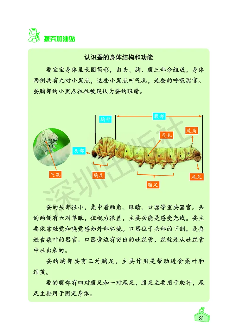 《知识与能力训练&middot;科学》23春科学3年级下册（教科版）_三年级上下册资料_小学三年级学习资料-25年更新版_3-10、小学三年级科学下册_教科版_电子册类