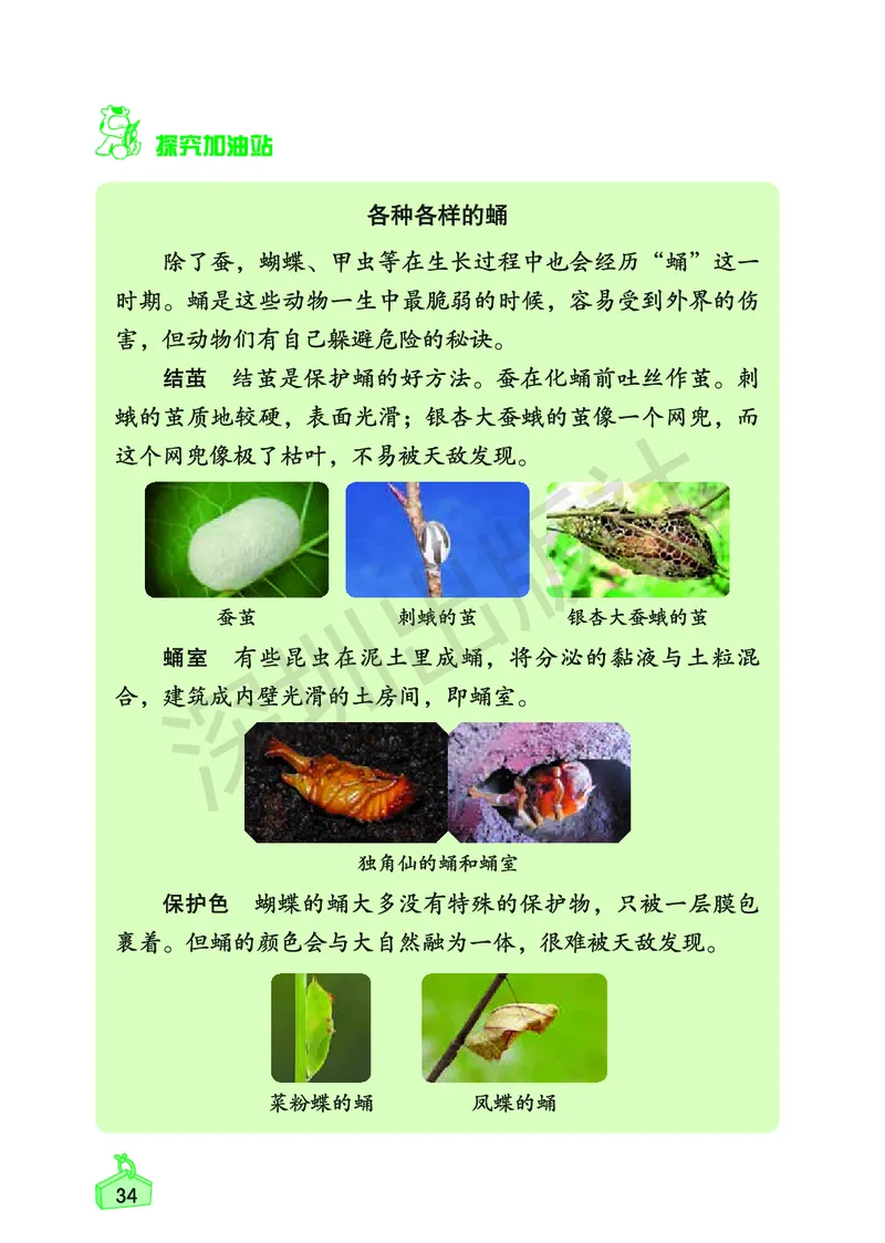 《知识与能力训练&middot;科学》23春科学3年级下册（教科版）_三年级上下册资料_小学三年级学习资料-25年更新版_3-10、小学三年级科学下册_教科版_电子册类
