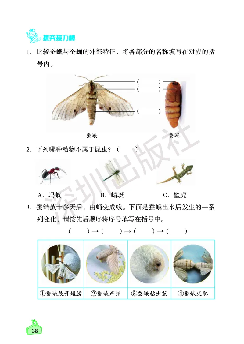 《知识与能力训练&middot;科学》23春科学3年级下册（教科版）_三年级上下册资料_小学三年级学习资料-25年更新版_3-10、小学三年级科学下册_教科版_电子册类