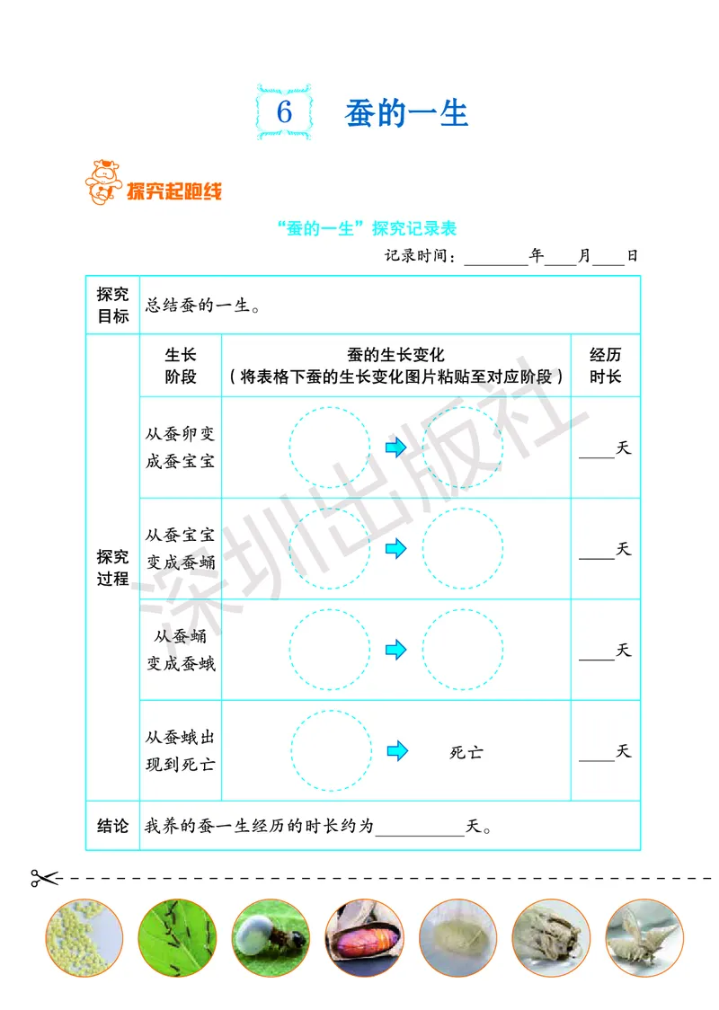 《知识与能力训练&middot;科学》23春科学3年级下册（教科版）_三年级上下册资料_小学三年级学习资料-25年更新版_3-10、小学三年级科学下册_教科版_电子册类