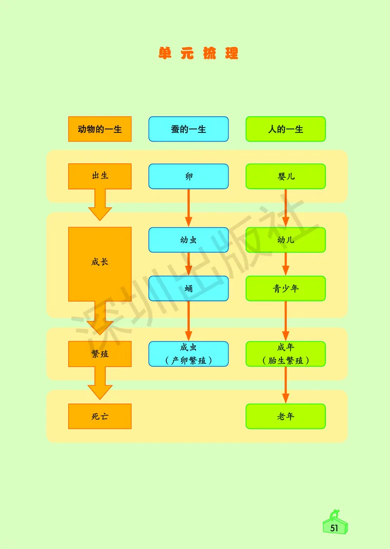 《知识与能力训练&middot;科学》23春科学3年级下册（教科版）_三年级上下册资料_小学三年级学习资料-25年更新版_3-10、小学三年级科学下册_教科版_电子册类