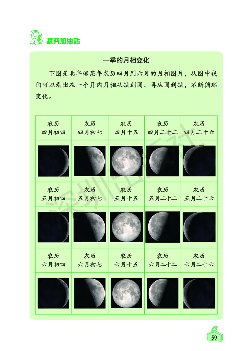 《知识与能力训练&middot;科学》23春科学3年级下册（教科版）_三年级上下册资料_小学三年级学习资料-25年更新版_3-10、小学三年级科学下册_教科版_电子册类