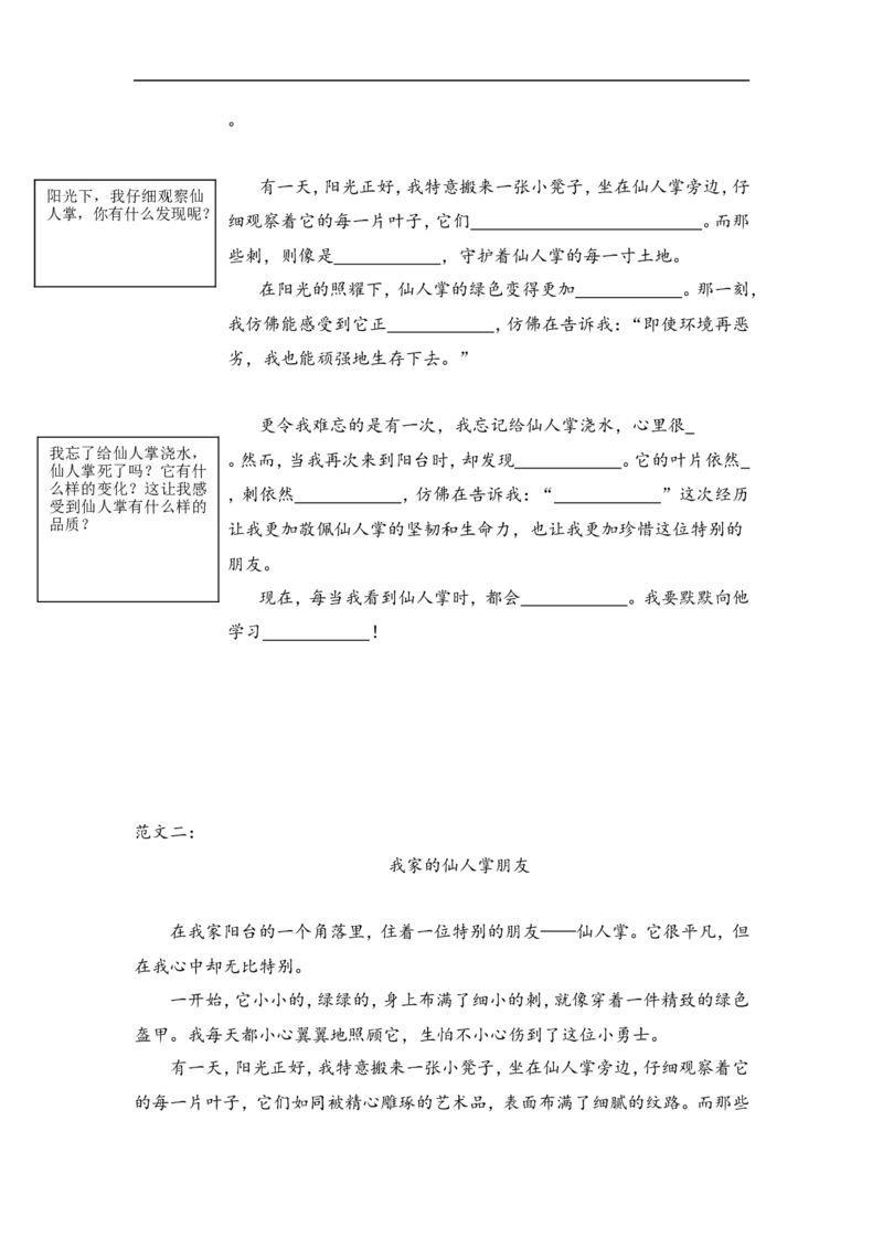 三上第五单元我们眼中的缤纷世界_三年级上下册资料_三年级上册小红书同款资料_三年级(1)