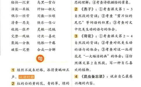 三（下）语文1-8单元重点总结_三年级上下册资料_小学三年级学习资料-25年更新版_3-02、小学三年级语文下册_3-2-1、学习资料、复习、知识点、归纳汇总_语文-知识汇总