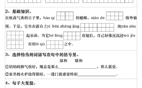 三年级上册语文期末复习每日一练_三年级上下册资料_三年级上册小红书同款资料_语文