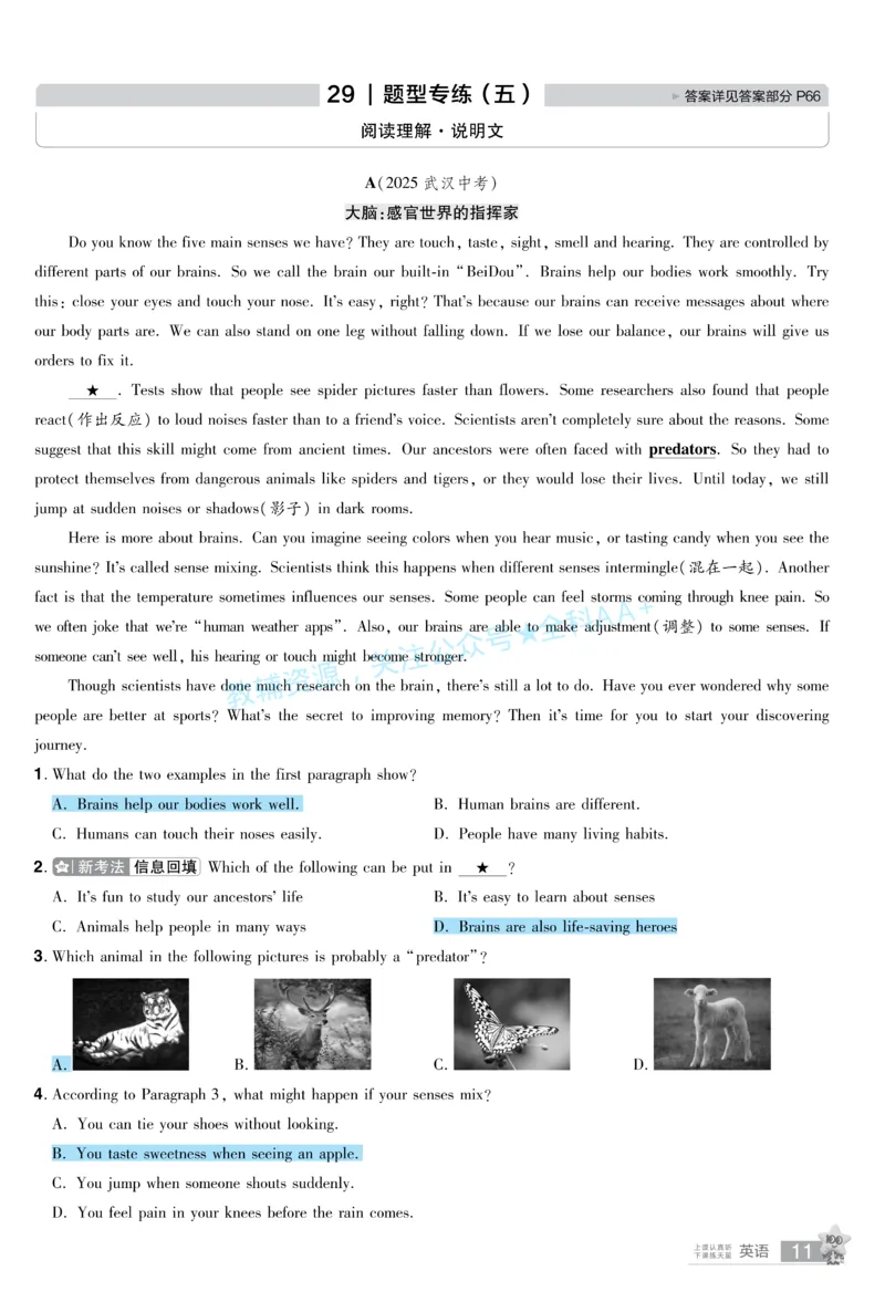 2026《中考英语45套》甘肃题型小卷答案_2026《中考》数学、英语、物理+化学安徽、河北、河南、山西、辽宁、湖北_2026《中考英语45套》全国地方版_2026《中考英语45套》甘肃