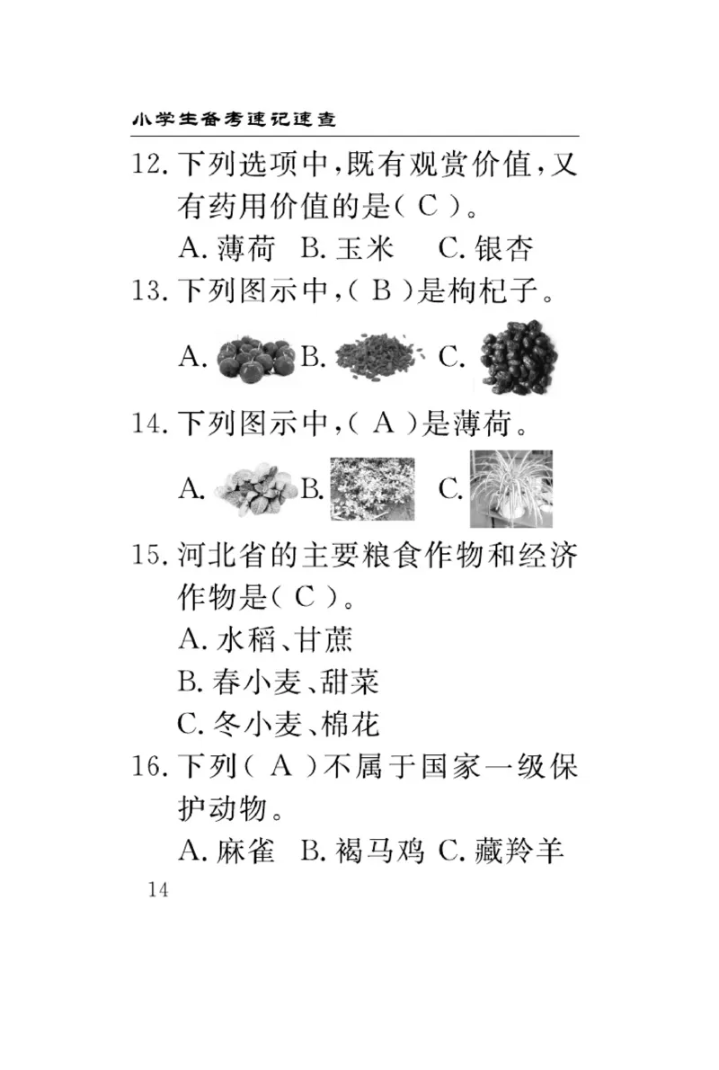 《速记速查》科学3年级下册（冀人版）_三年级上下册资料_小学三年级学习资料-25年更新版_3-10、小学三年级科学下册_冀人版