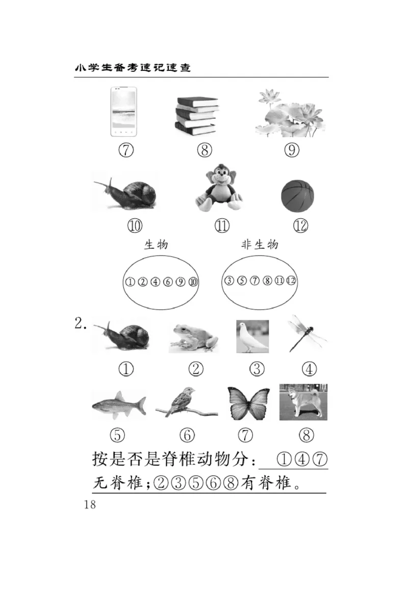 《速记速查》科学3年级下册（冀人版）_三年级上下册资料_小学三年级学习资料-25年更新版_3-10、小学三年级科学下册_冀人版