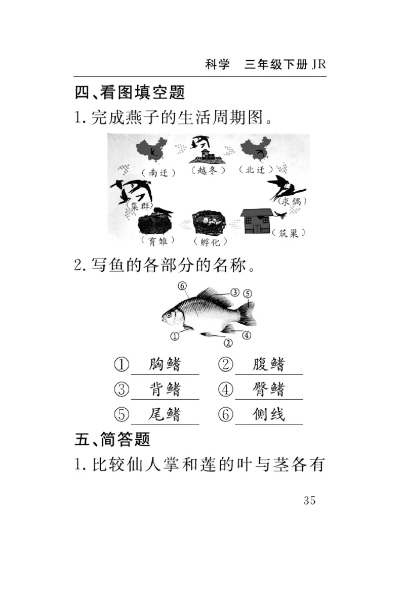《速记速查》科学3年级下册（冀人版）_三年级上下册资料_小学三年级学习资料-25年更新版_3-10、小学三年级科学下册_冀人版