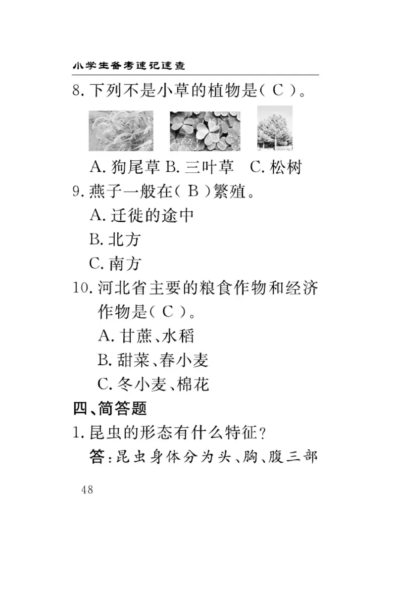 《速记速查》科学3年级下册（冀人版）_三年级上下册资料_小学三年级学习资料-25年更新版_3-10、小学三年级科学下册_冀人版
