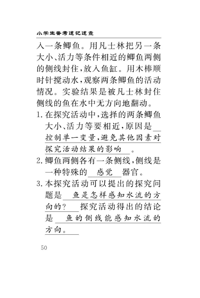 《速记速查》科学3年级下册（冀人版）_三年级上下册资料_小学三年级学习资料-25年更新版_3-10、小学三年级科学下册_冀人版
