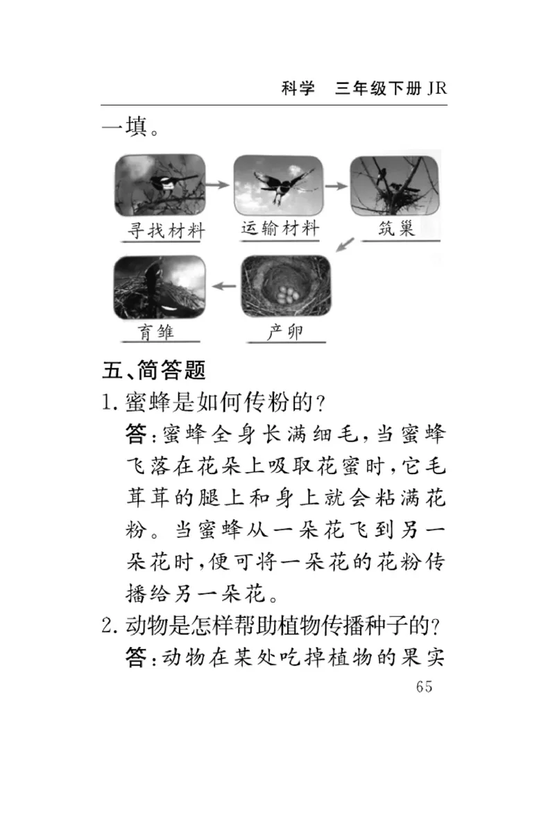 《速记速查》科学3年级下册（冀人版）_三年级上下册资料_小学三年级学习资料-25年更新版_3-10、小学三年级科学下册_冀人版