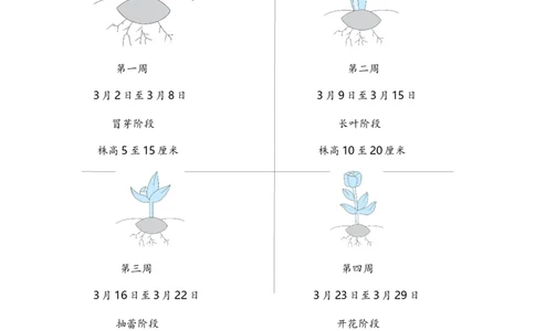 二年级语文下册期末分类复习非连续性文本阅读部编版含答案_二年级上下册资料_小学二年级学习资料-25年更新版_2-02、小学二年级语文下册_2-2-2、练习题、作业、试题、试卷