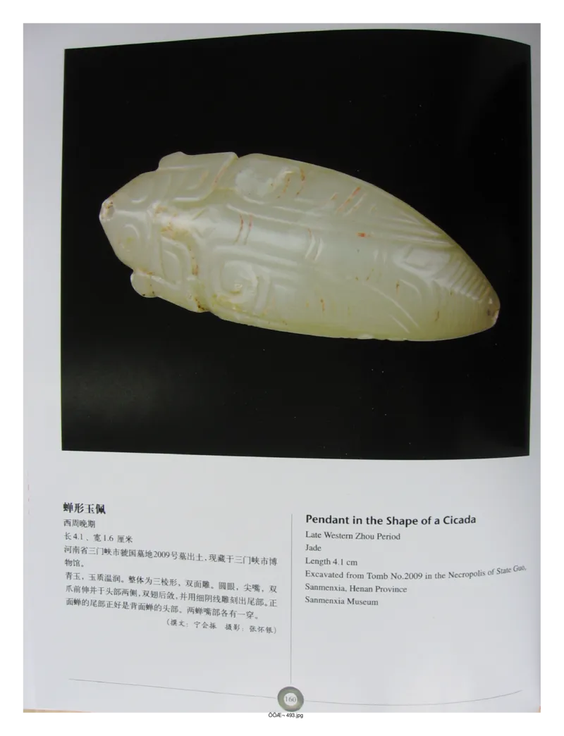 中国出土玉器全集(5)河南_部分3_X018-玉石珠宝鉴定教程最新合集_5、玉石鉴定专题全套课程_玉石电子书_中国出土玉石全集