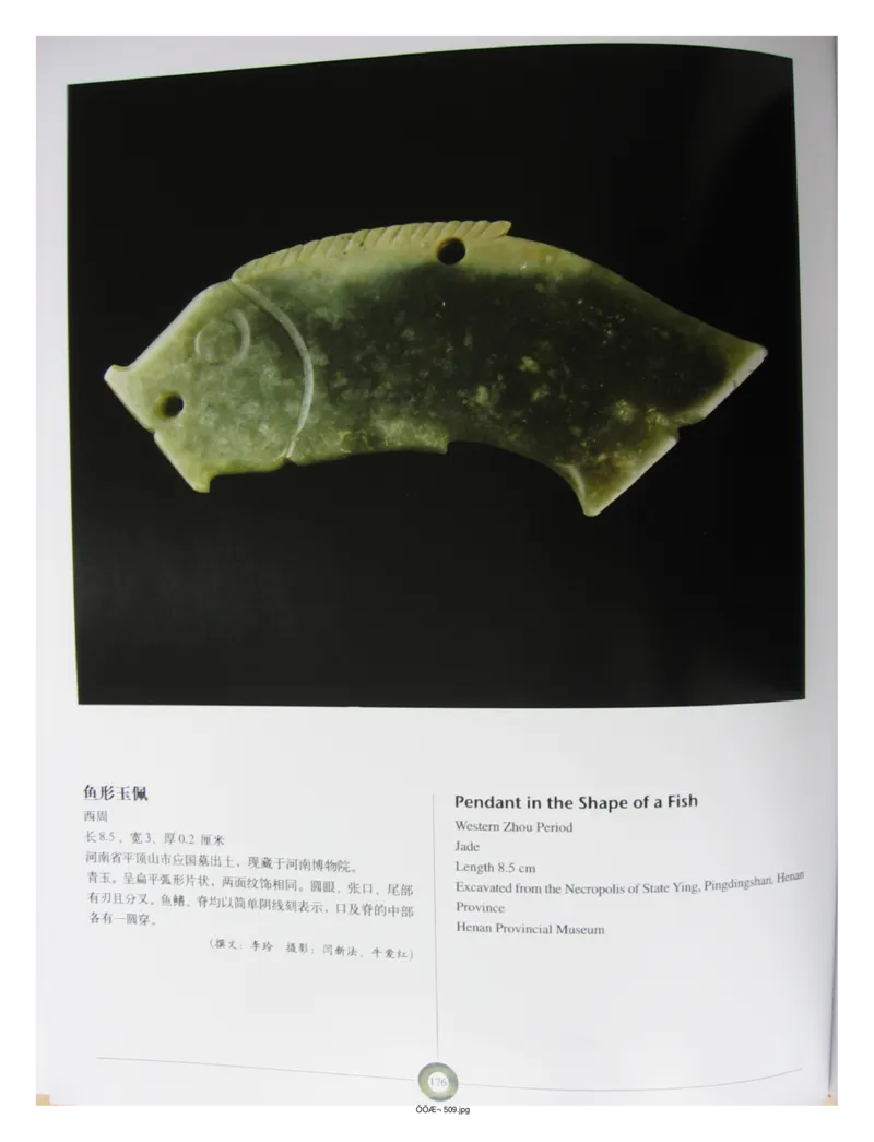 中国出土玉器全集(5)河南_部分3_X018-玉石珠宝鉴定教程最新合集_5、玉石鉴定专题全套课程_玉石电子书_中国出土玉石全集