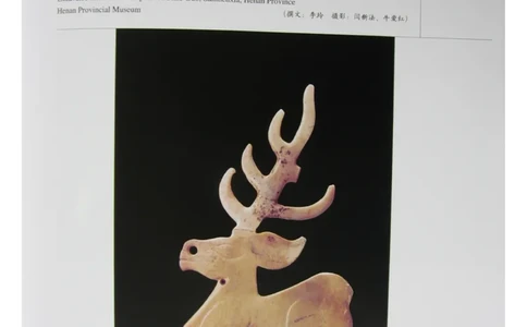 中国出土玉器全集(5)河南_部分3_X018-玉石珠宝鉴定教程最新合集_5、玉石鉴定专题全套课程_玉石电子书_中国出土玉石全集