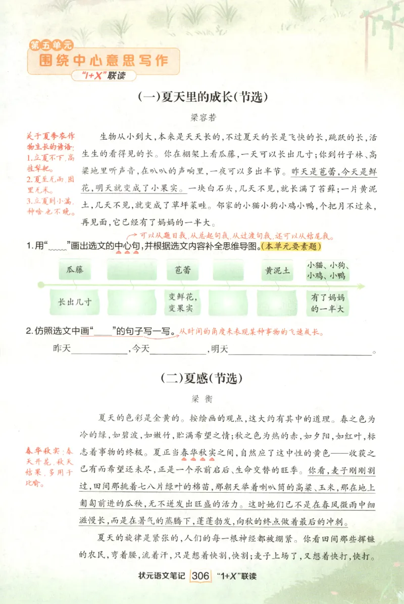 《课后服务日日练》_25秋小学语数英习题试卷_语文_25秋《状元笔记》语文12456_6年级语文《状元笔记》25秋