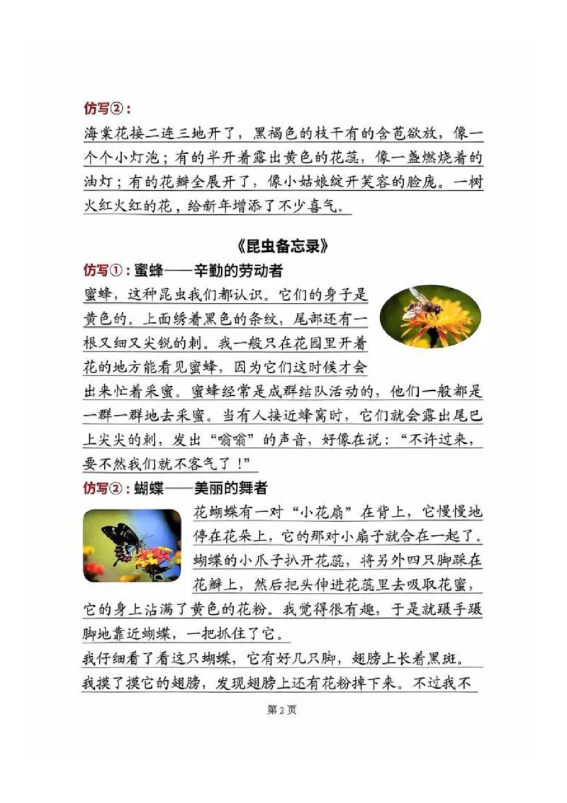 三年级语文寒假重点预习_三年级上下册资料_三年级下册小红书同款资料_三下语文