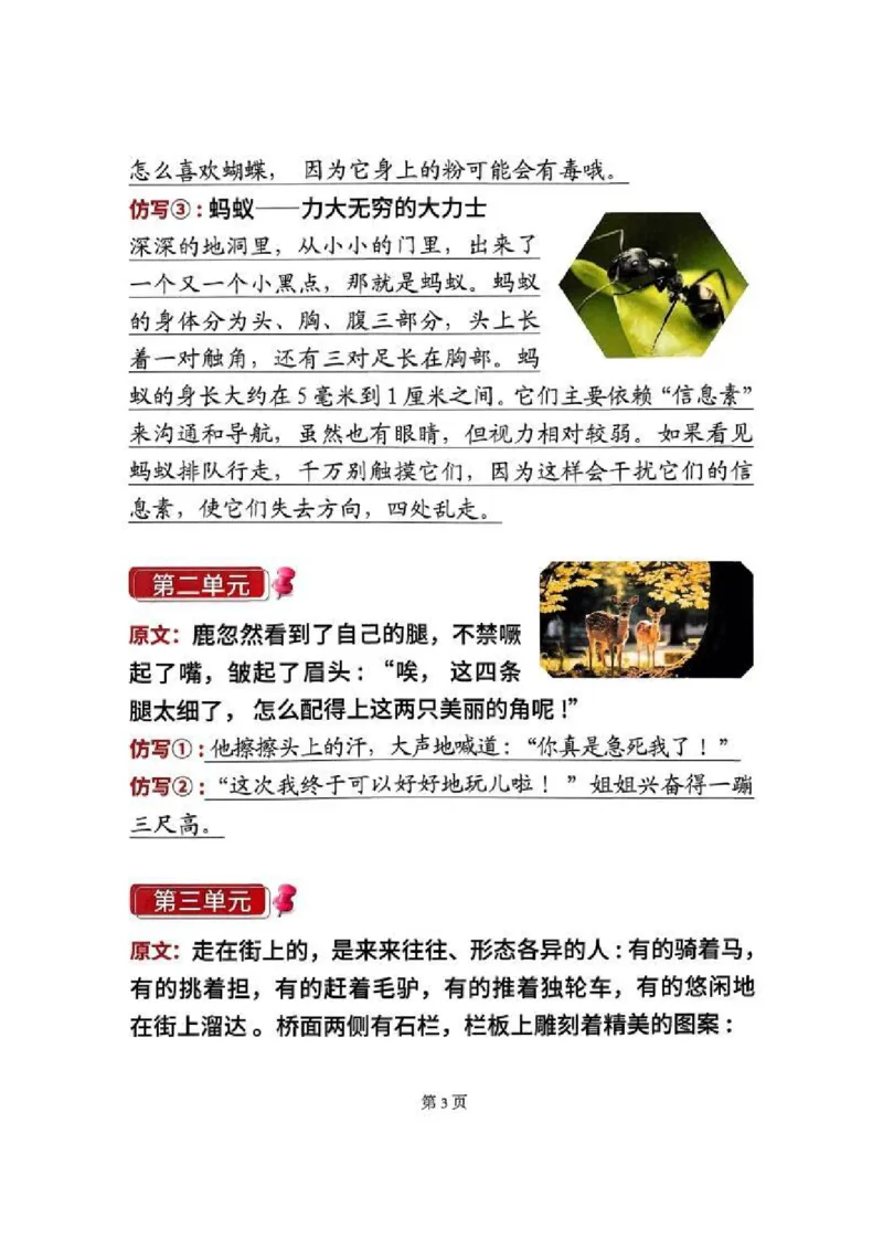 三年级语文寒假重点预习_三年级上下册资料_三年级下册小红书同款资料_三下语文