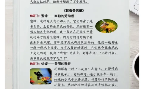 三年级语文寒假重点预习_三年级上下册资料_三年级下册小红书同款资料_三下语文