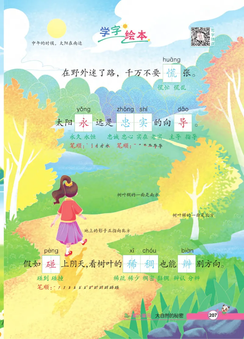 《点拨》语文2年级下册（RJ）_二年级上下册资料_小学二年级学习资料-25年更新版_2-02、小学二年级语文下册_2-2-2、练习题、作业、试题、试卷_电子册类